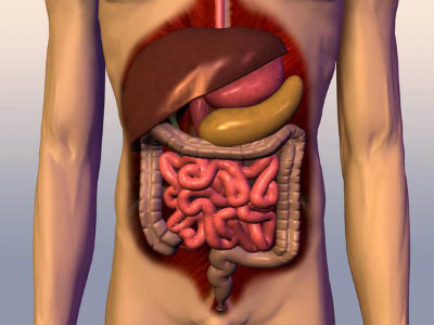 胃腸薬は消化剤から制酸剤へ変わってきた